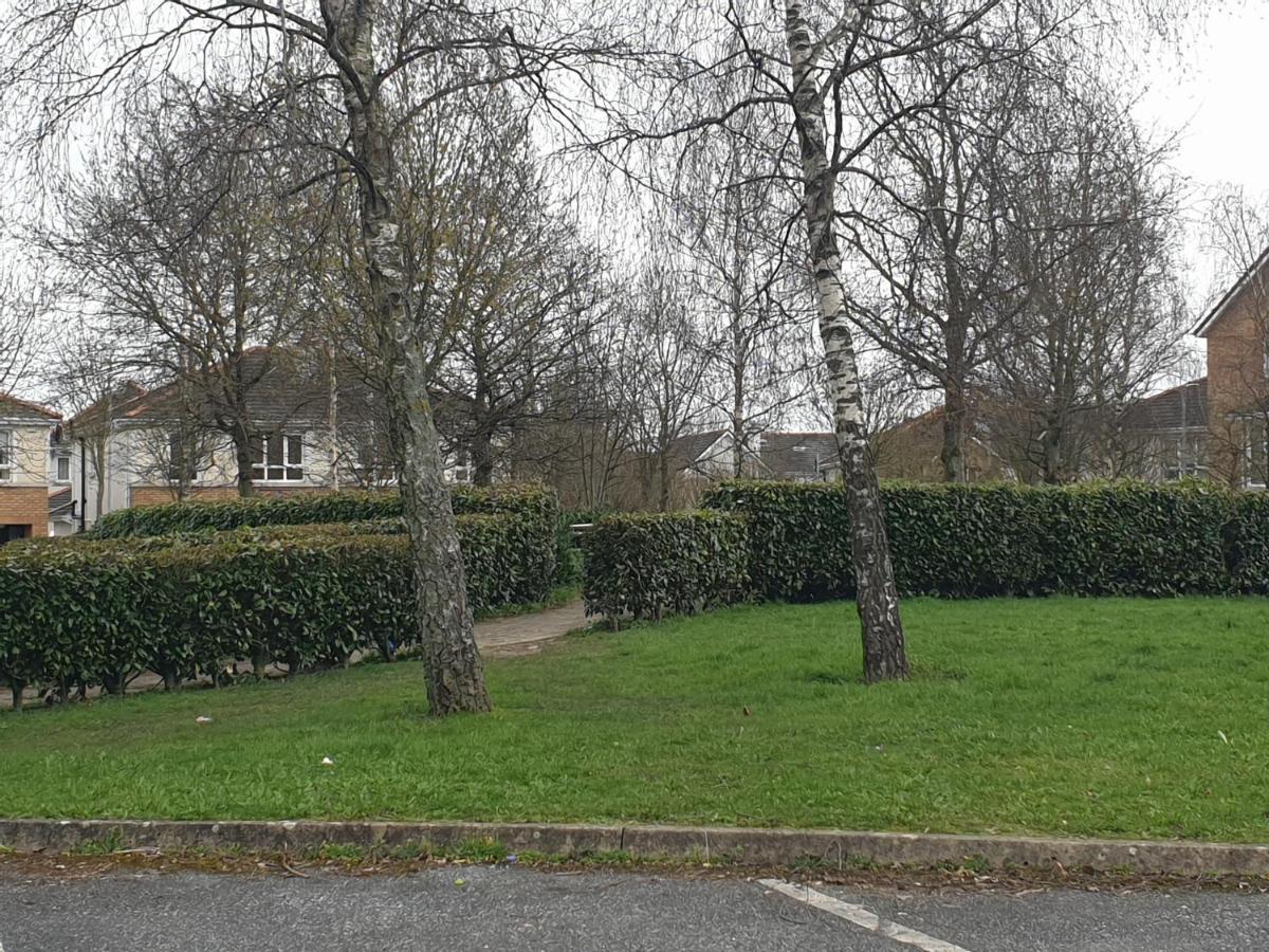 Kilkenny City Apartment エクステリア 写真